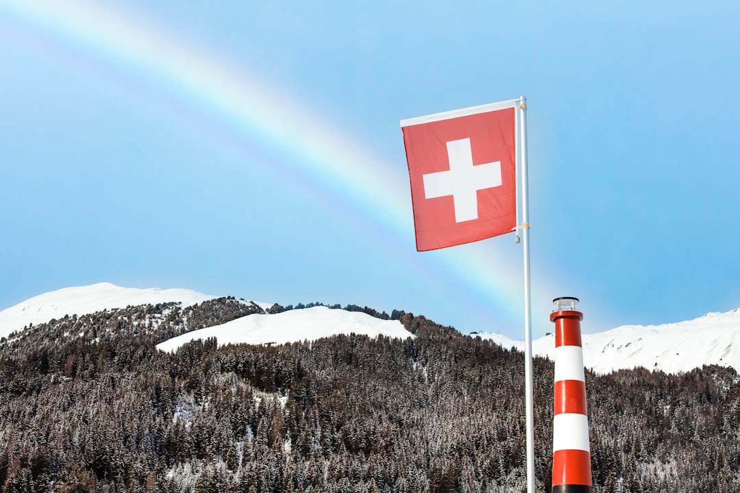 Swiss Cheese Production